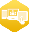 Vidyo Use