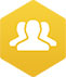 Project Management Services from Vidyo