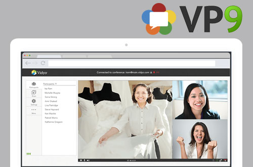 2013 VidyoWeb WebRTC and VP9