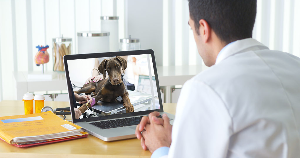 Unconventional Uses for Telehealth