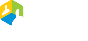 Vidyo, an Enghouse Company logo