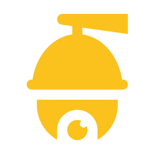 PTZ Camera