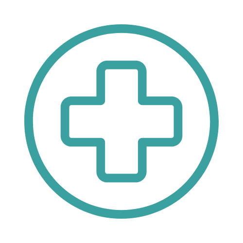 healthcare icon